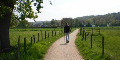 Quintus wandelt in Limburg